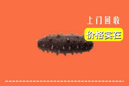 伊春市大箐山回收海参