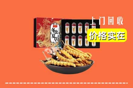 伊春市大箐山回收虫草